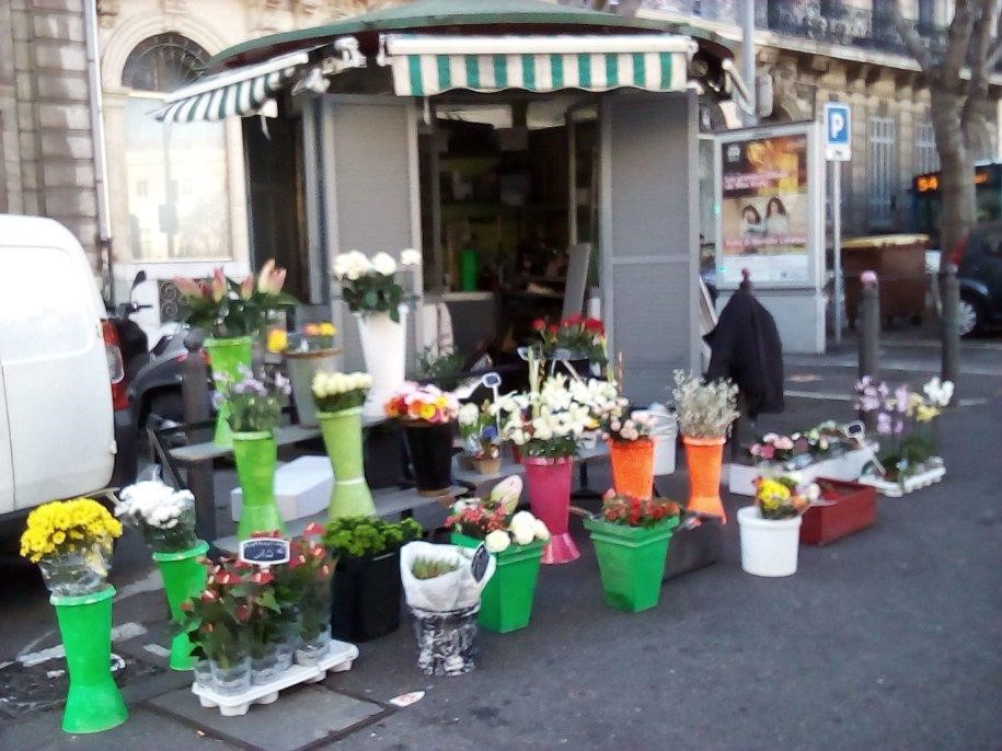 Dossier Vente Fleurs Provence-Alpes-Côte d'Azur