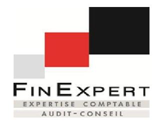logo_for_expert_Cyrille_JEAN-MARIE