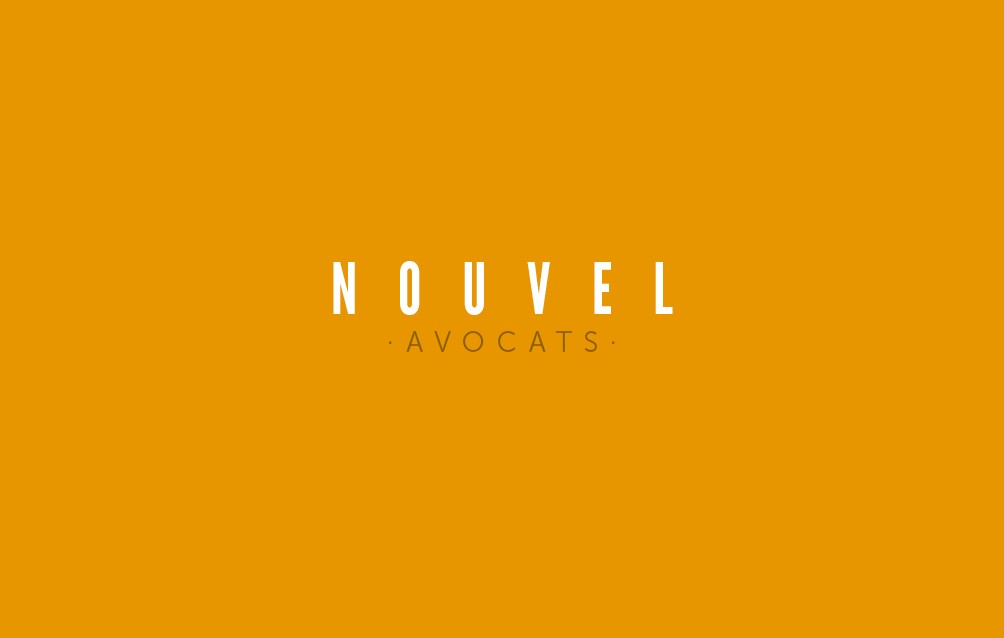 logo_for_expert_Valérie_NOUVEL